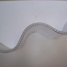 100_1233.JPG