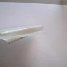 100_1236.JPG