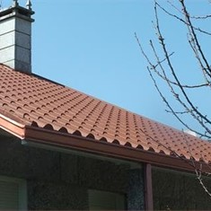 DSCF4238.JPG