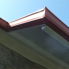 DSCF4239.JPG